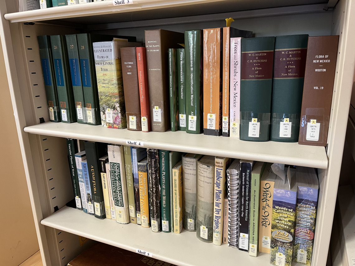 Photo of two small shelves of botanical books